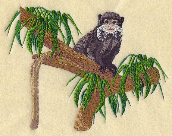 Emperor Tamarin