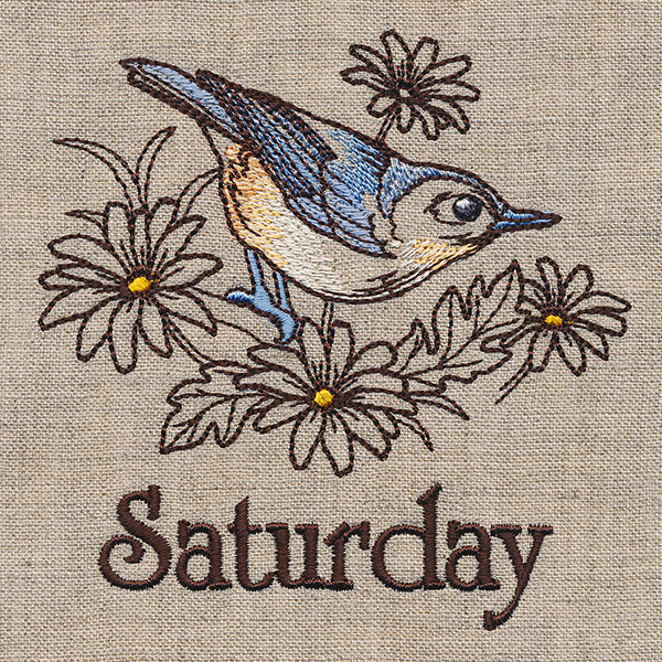 Blessed Saturday - Nuthatch and Chicory