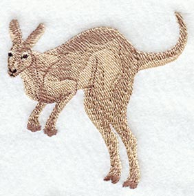 Jumping Kangaroo