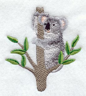 Koala