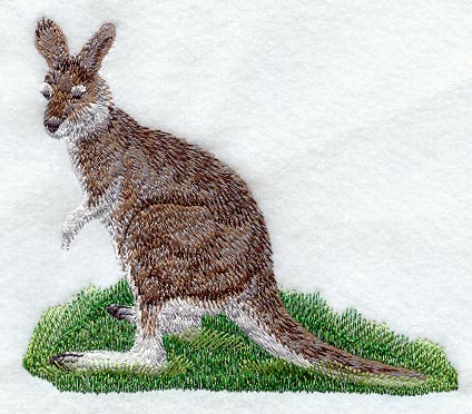 Wallaby