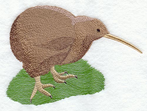 Kiwi