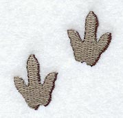 Tyrannosaurus Rex Tracks