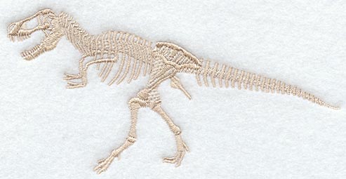 Tyrannosaurus Rex Skeleton