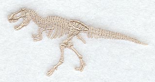 Tyrannosaurus Rex Skeleton