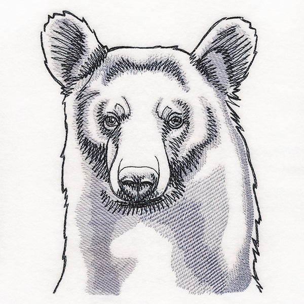 Peeking Bear Etching
