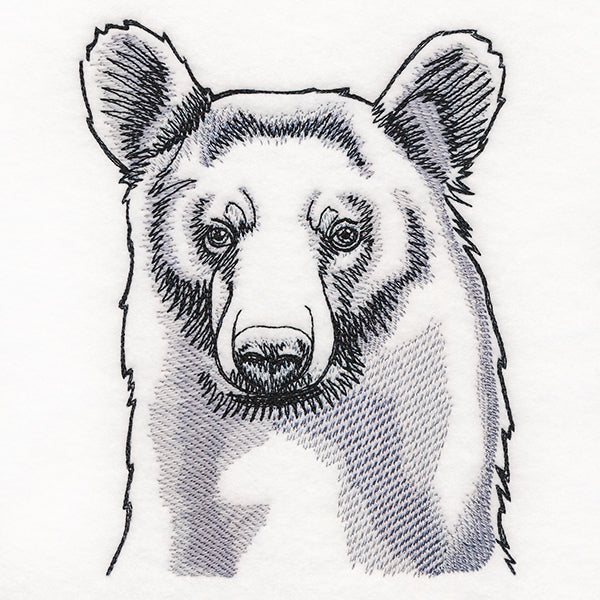 Peeking Bear Etching