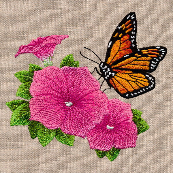Garden Monarch and Petunia