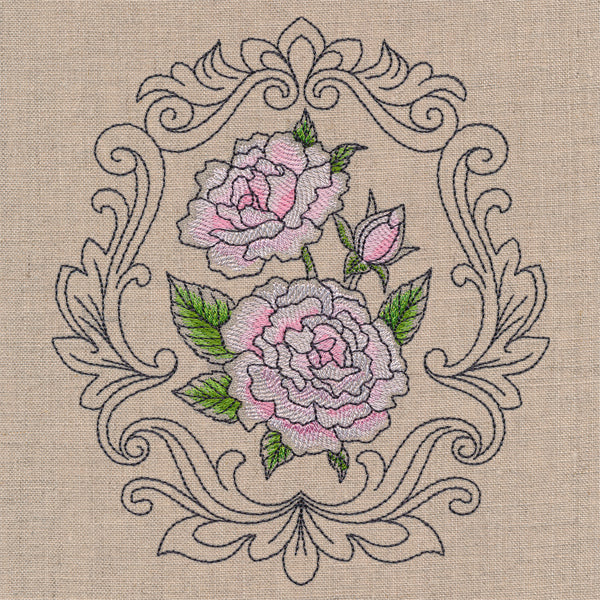 Baroque Blooms Cameo - Madame Alfred Carriere Rose