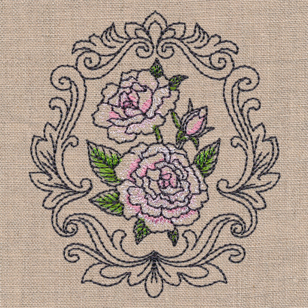 Baroque Blooms Cameo - Madame Alfred Carriere Rose