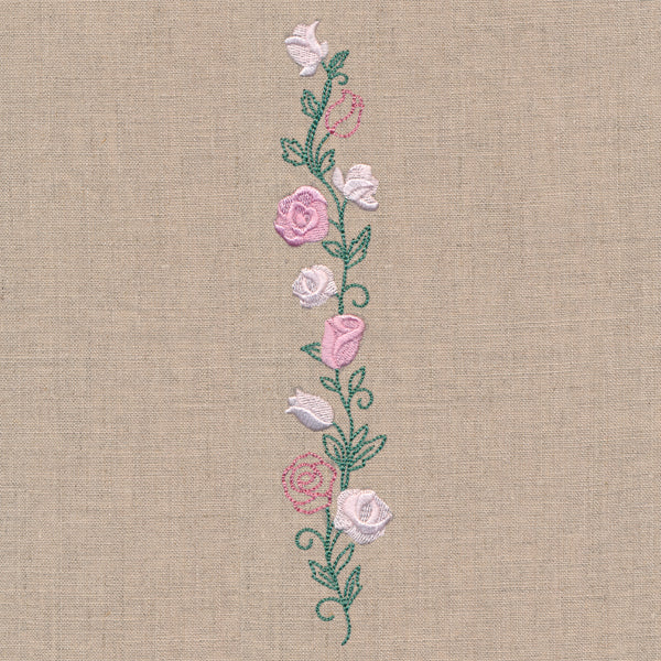 Delicate Rose Border