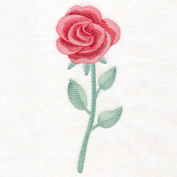 Radiant Rose in Watercolor