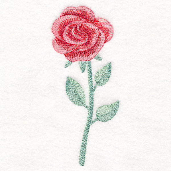 Radiant Rose in Watercolor