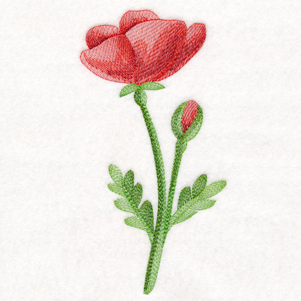 Precious Poppy in Watercolor