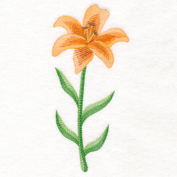 Lively Lily in Watercolor