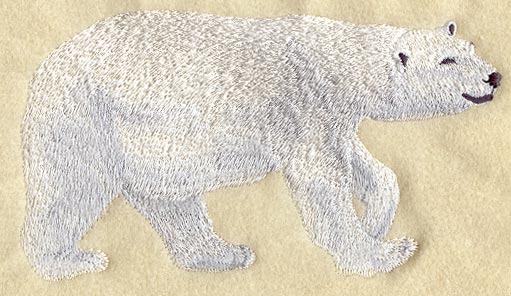 Polar Bear - Walking