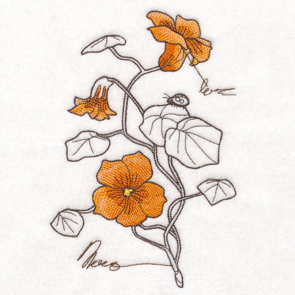 Nasturtium Botanicals