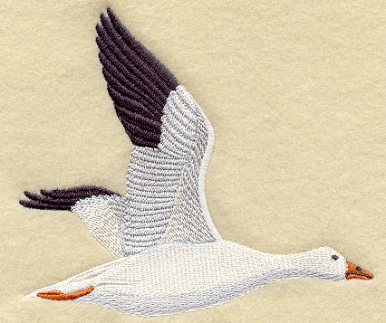 Snow Goose