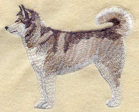 Malamute