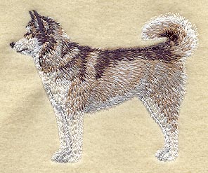 Malamute