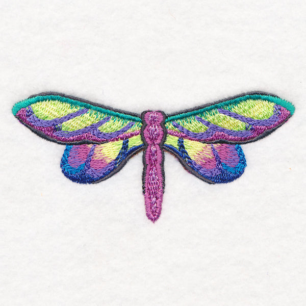 Rainbow Dragonfly