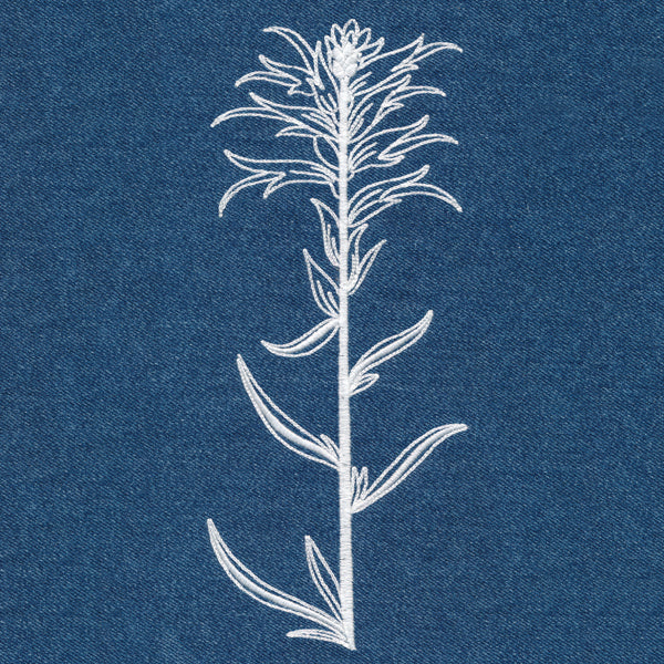 Indian Paintbrush (Whitework)