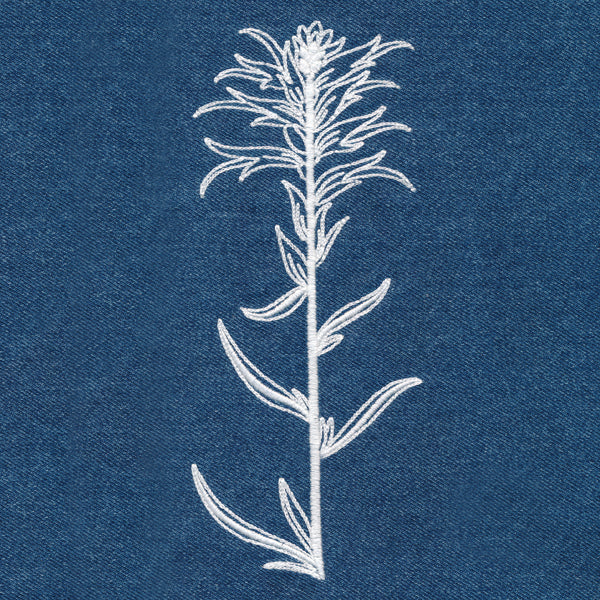Indian Paintbrush (Whitework)