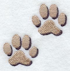 Mountain Lion Tracks