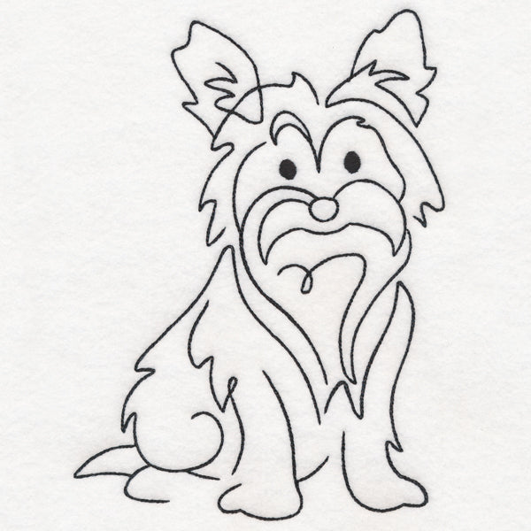 Top of the Line - Yorkie