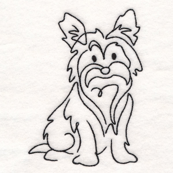 Top of the Line - Yorkie