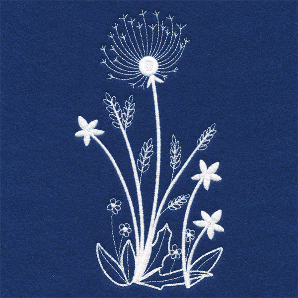 Delicate Dandelion Stems