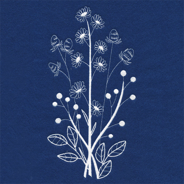 Delicate Daisy Stems