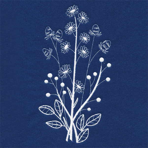 Delicate Daisy Stems