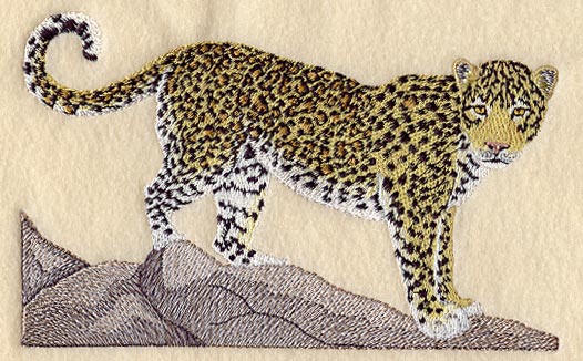 Leopard - Standing