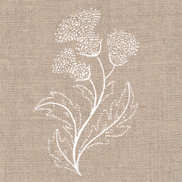 Delicate Thistle Stems