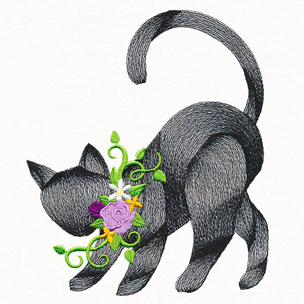 Spooky Chic Halloween Cat