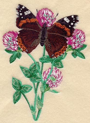 Red Admiral & Clover