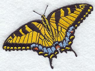 Tiger Swallowtail
