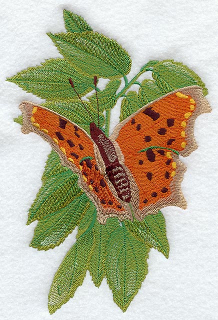 Comma Butterfly & Leaves