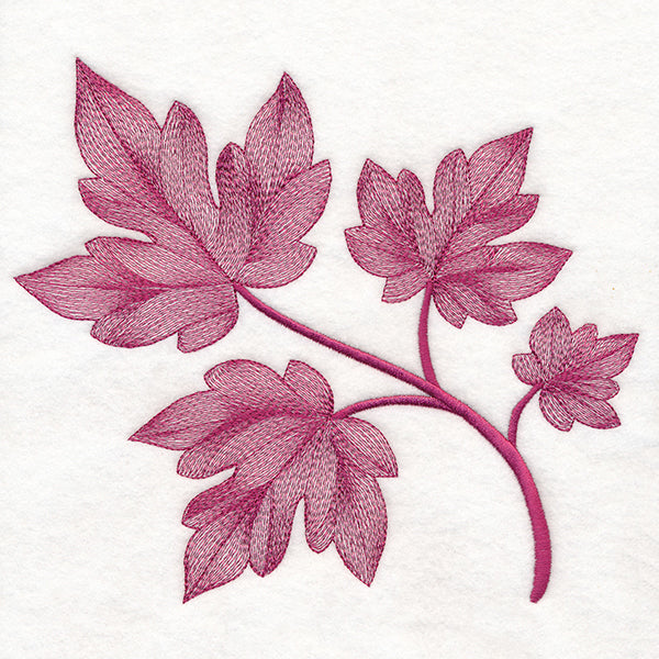 Magical Autumn Maple Leaves