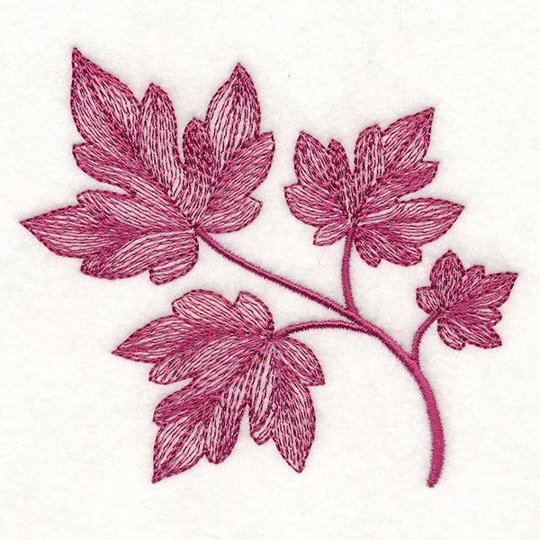 Magical Autumn Maple Leaves