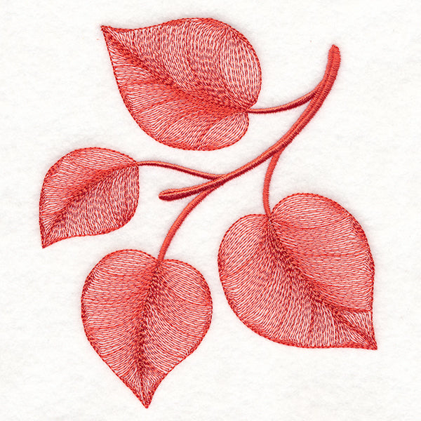 Magical Autumn Aspen Leaves