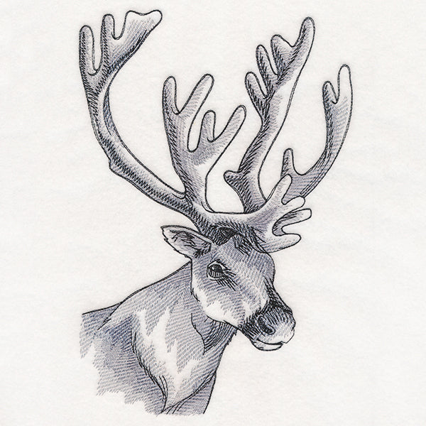 Peeking Reindeer Etching