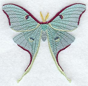 Luna Moth