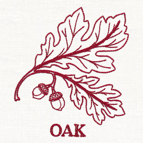 Leafy Botanicals - Oak