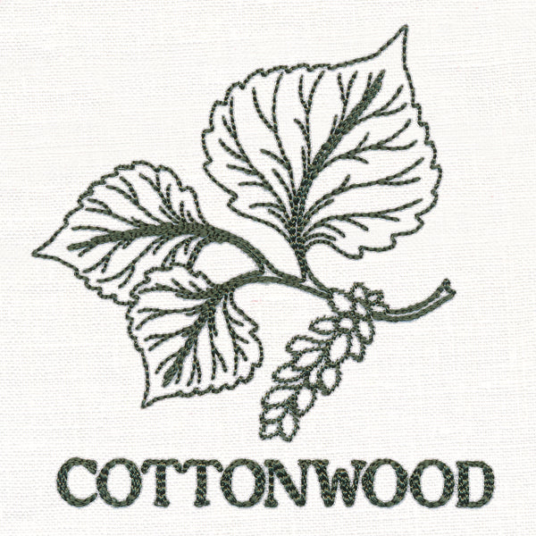 Leafy Botanicals - Cottonwood