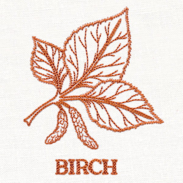 Leafy Botanicals - Birch
