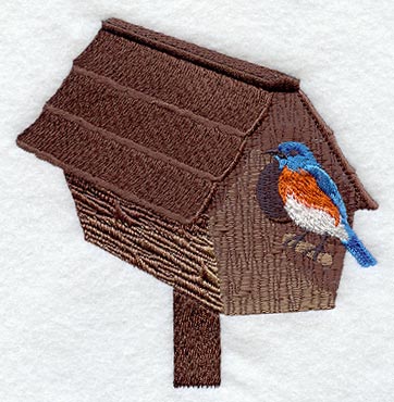 Birdhouse & Bluebird