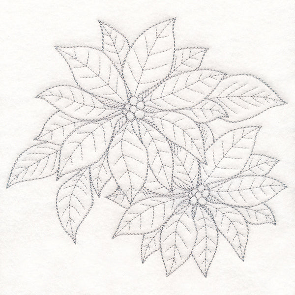 Jolly Poinsettia Etching
