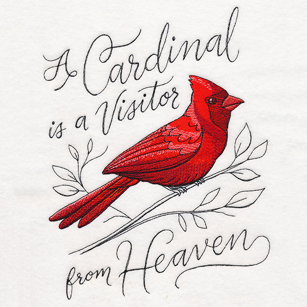 A Cardinal is a Visitor from Heaven